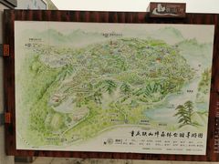 -铁山坪森林公园