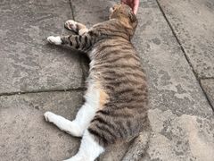 -两江国际影视城