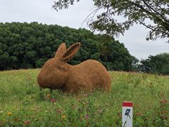 -嘉北郊野公园