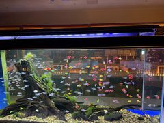 -大江户·温泉洗浴(浑南店)