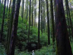 -山王坪喀斯特国家生态公园