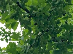 -苏州河梦清园环保主题公园