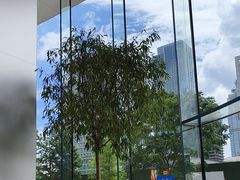 -Apple零售店(苏州店)