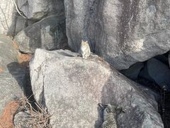 -崂山巨峰游览区