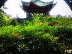 -桂湖森林公园