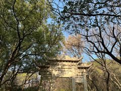-灵岩山风景区
