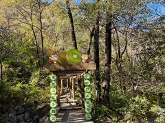 -大岭沟猕猴桃谷风景区