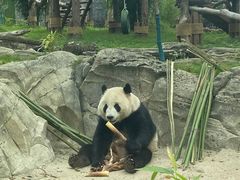 -武汉动物园