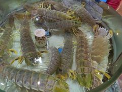 -强记海鲜·大排档(蛇口新街店)