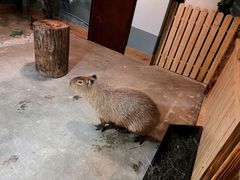 -太阳岛度假酒店