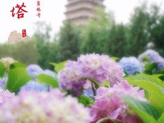 -西安博物院