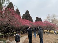 -白塘生态植物园