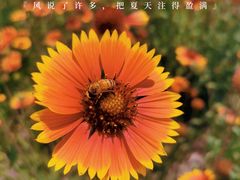 -张家湾公园
