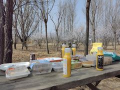 -野鸭湖国家湿地公园