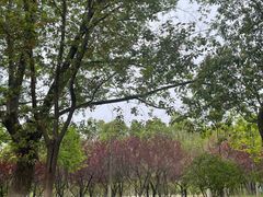 -汉江湾体育公园