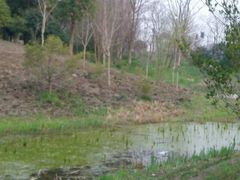 android_upload_pic-新江湾城公园