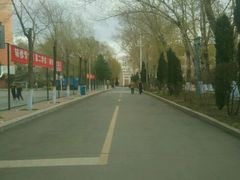 -黑龙江大学