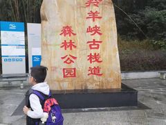 -羚羊峡古栈道森林公园