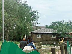 -苏州太湖西山岛开心农场