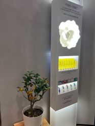 点击看大图 -MaisonFL·美颂法式专业美发艺术沙龙