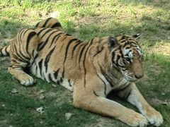 -北京野生动物园