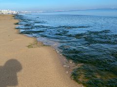 -烟台金沙滩海滨公园
