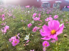 -北京农学院-第2食堂