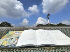 -观潮胜地公园