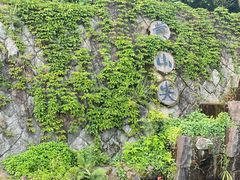 -千岛湖东南湖区