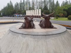 -洪泽湖古堰景区