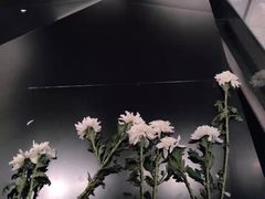 -侵华日军南京大屠杀遇难同胞纪念馆