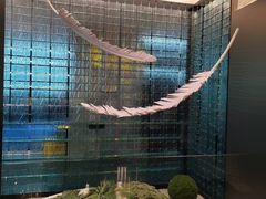 -琬苑鸽庄·川粤融合菜(解放碑总店)