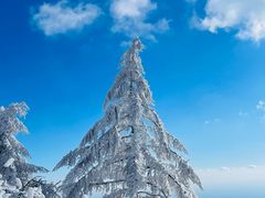 -崂山巨峰游览区