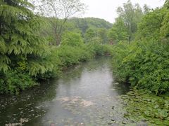 -白马涧龙池景区