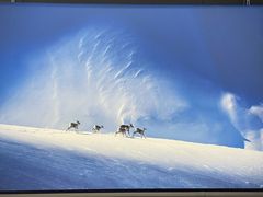 -罗红摄影艺术馆