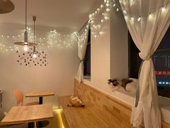 -猫腻·猫咖·撸猫馆(星光大道店)