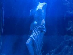 -太平洋海底世界