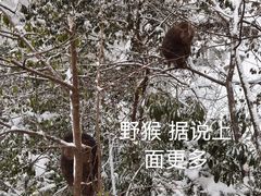 -九峰山