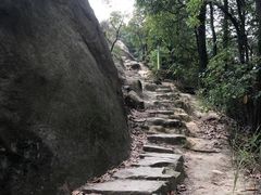 -南山植物园