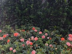 -合肥万象城