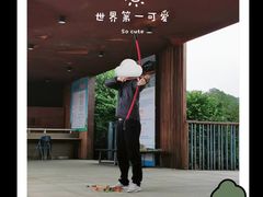 -美的鹭湖森林度假区