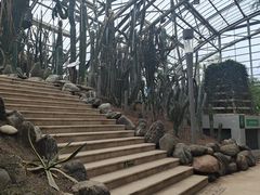 -南山植物园