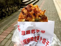 -半月镰胡姐脆皮萝卜饺子