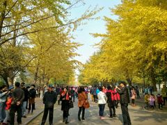 -辽宁大学(崇山校区)