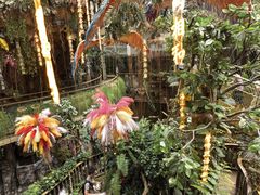 -正佳雨林生态植物园