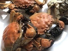 -兴芮温泉度假区