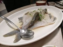 -四海酒家生态粤菜