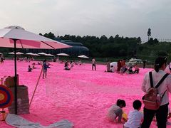 -大塘金香草谷