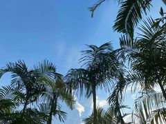 -广州从化都喜泰丽度假温泉酒店