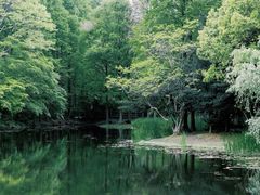 -上海共青森林公园